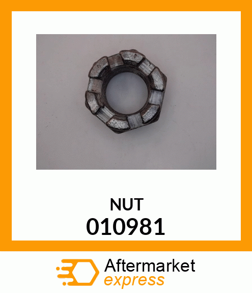 Spare part 010981 + NUT