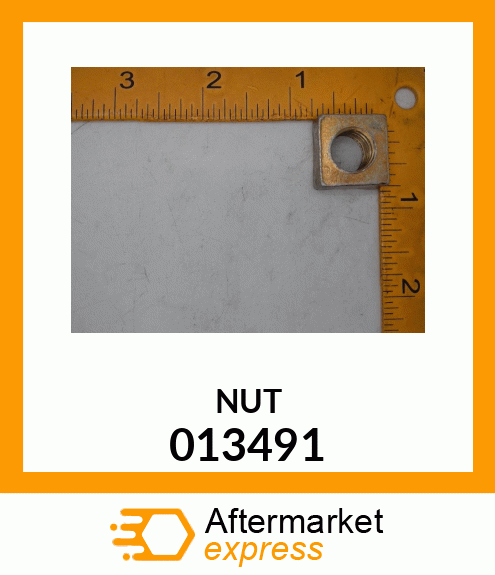 NUT 013491