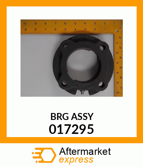 BRG ASSY 017295