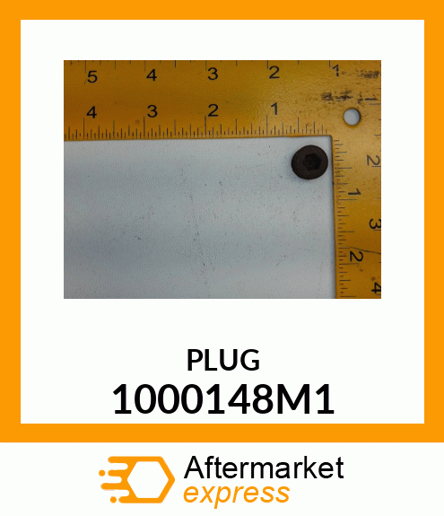 PLUG 1000148M1