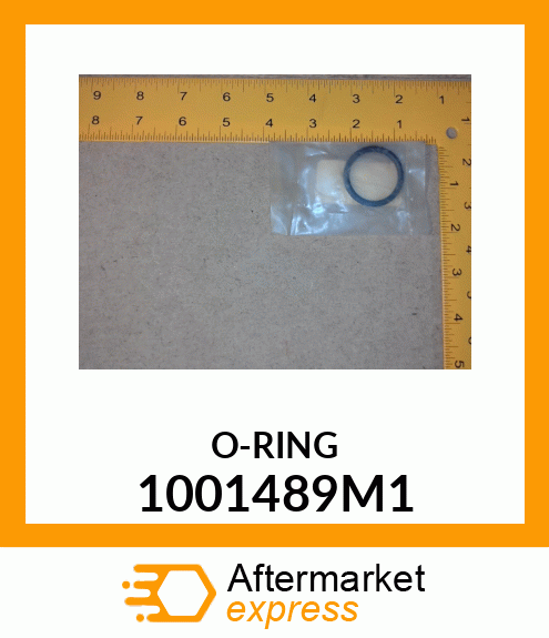 O-RING 1001489M1