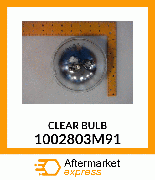 CLEAR BULB 1002803M91