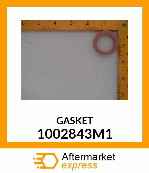 GASKET 1002843M1