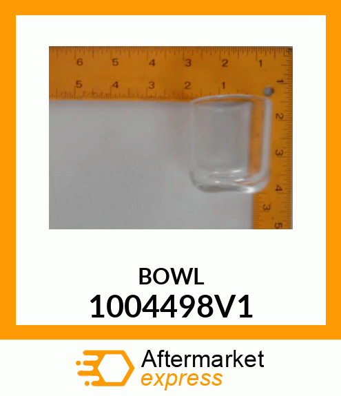 BOWL 1004498V1