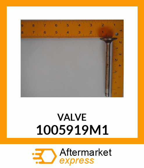 VALVE 1005919M1