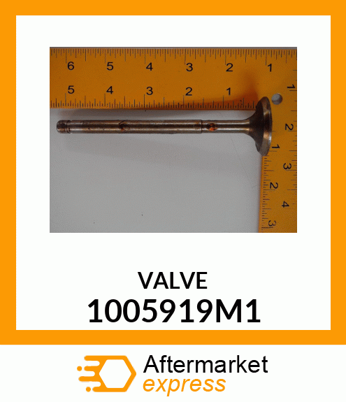 VALVE 1005919M1