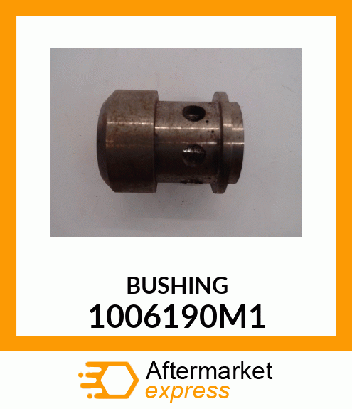 BUSHING 1006190M1