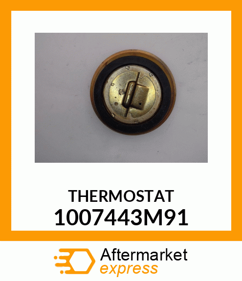 THERMOSTAT 1007443M91