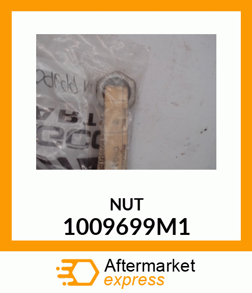 NUT 1009699M1