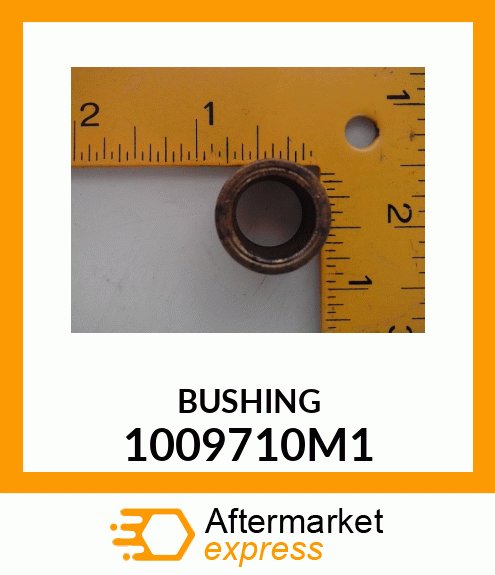 BUSHING 1009710M1