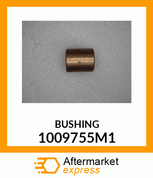 BUSHING 1009755M1