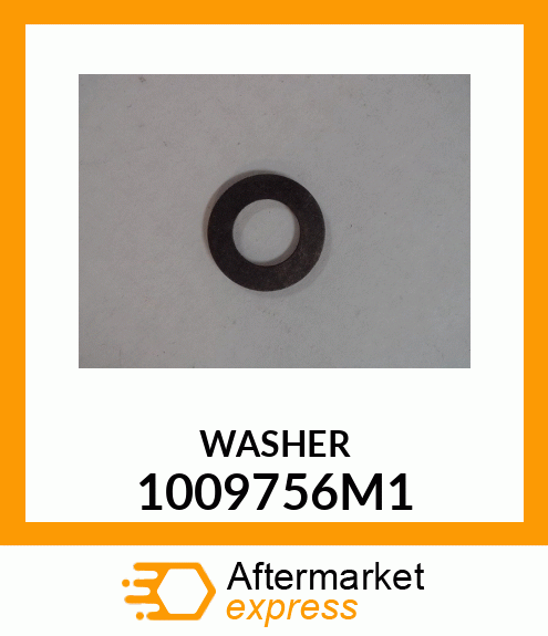 WASHER 1009756M1