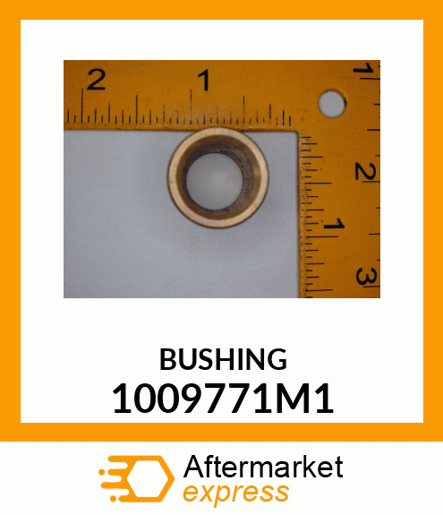 BUSHING 1009771M1