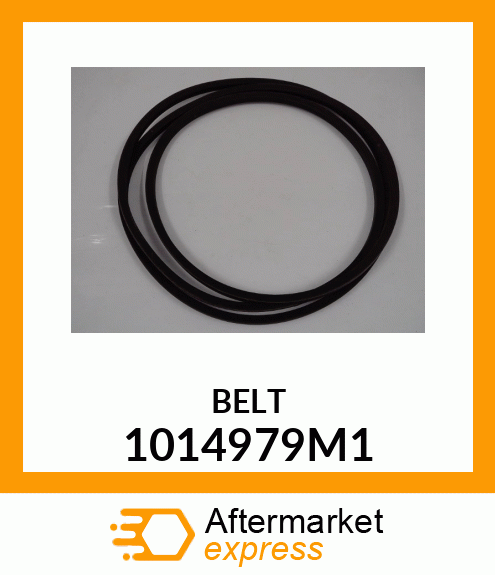 BELT 1014979M1