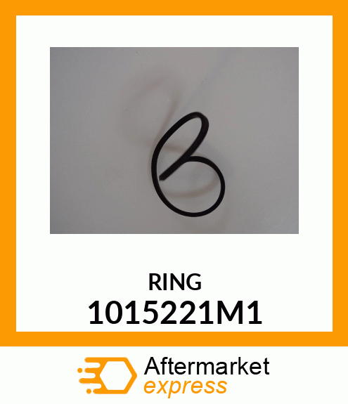 RING 1015221M1