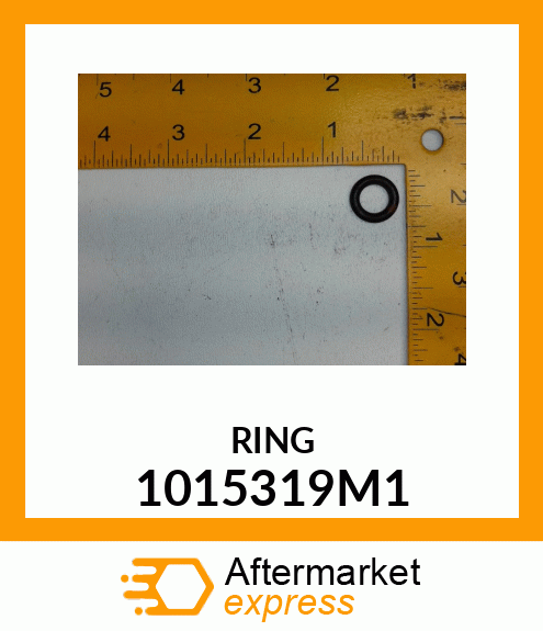 RING 1015319M1