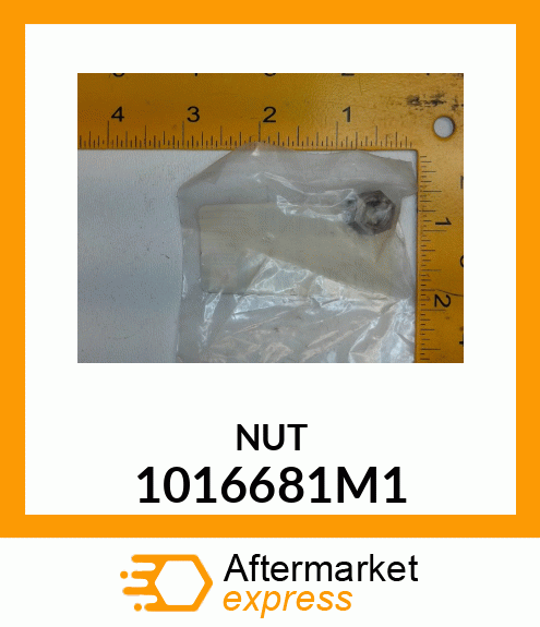 NUT 1016681M1