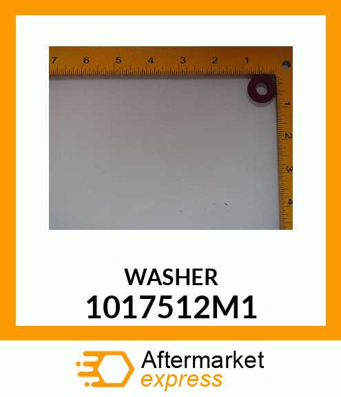 WASHER 1017512M1