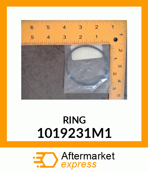 RING 1019231M1