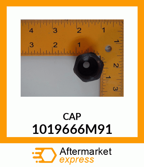 CAP 1019666M91