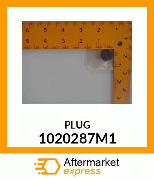 PLUG 1020287M1