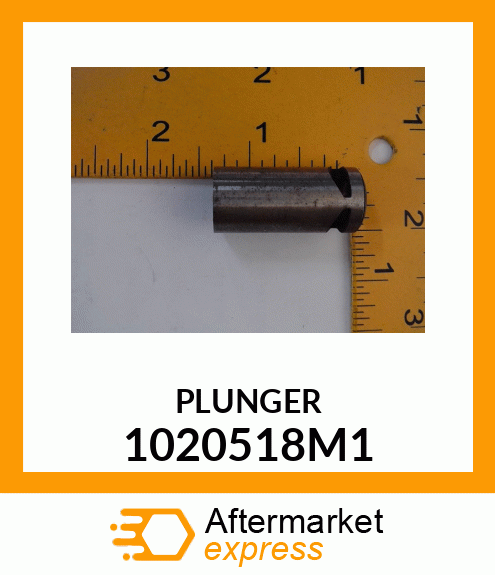 PLUNGER 1020518M1