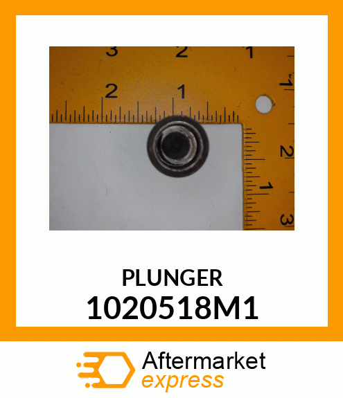 PLUNGER 1020518M1