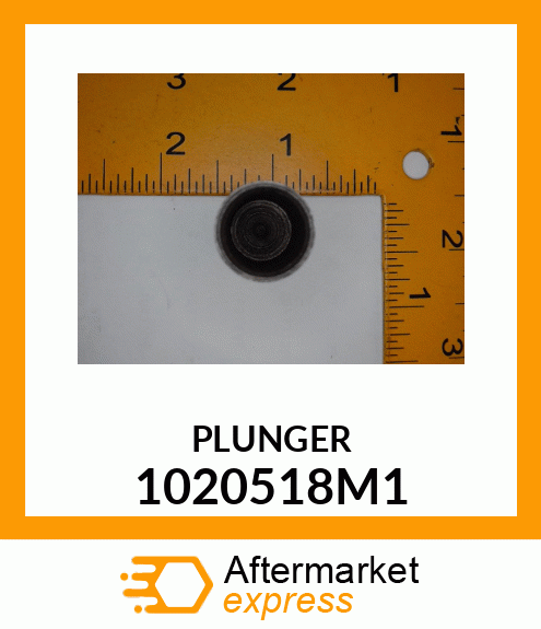 PLUNGER 1020518M1