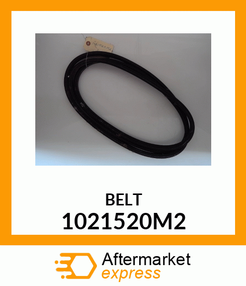 BELT 1021520M2