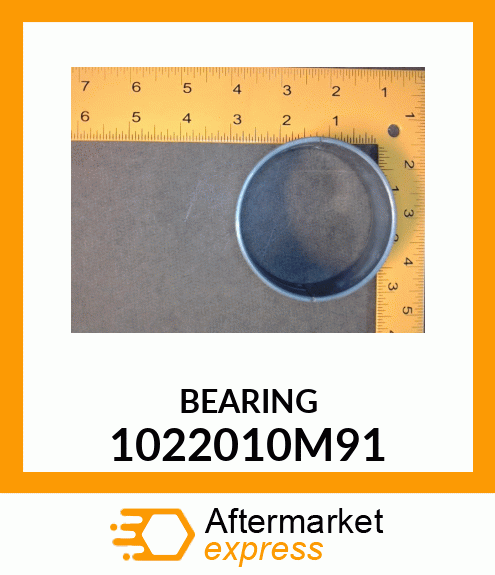 BEARING 1022010M91