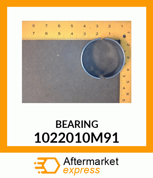 BEARING 1022010M91