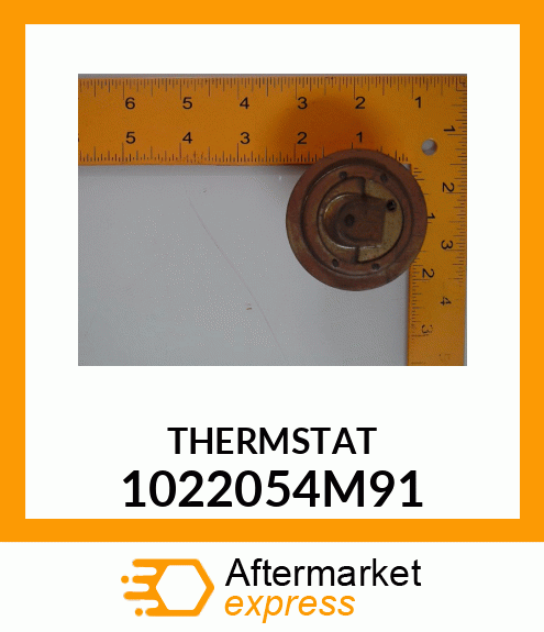 THERMST 1022054M91