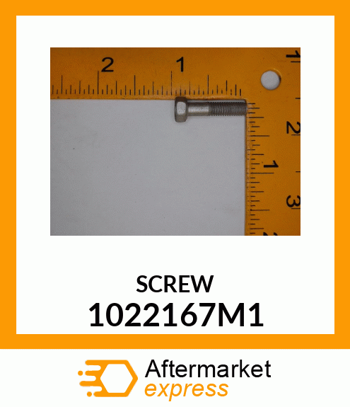 SCREW 1022167M1