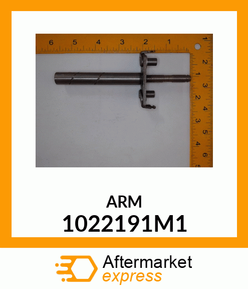 ARM 1022191M1