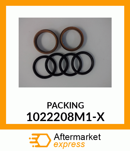 PACKING 1022208M1-X