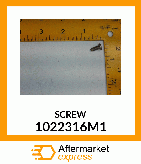 SCREW 1022316M1