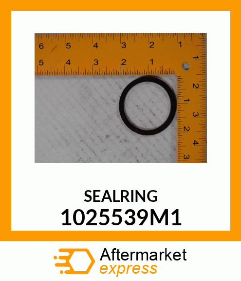 SEALRING 1025539M1