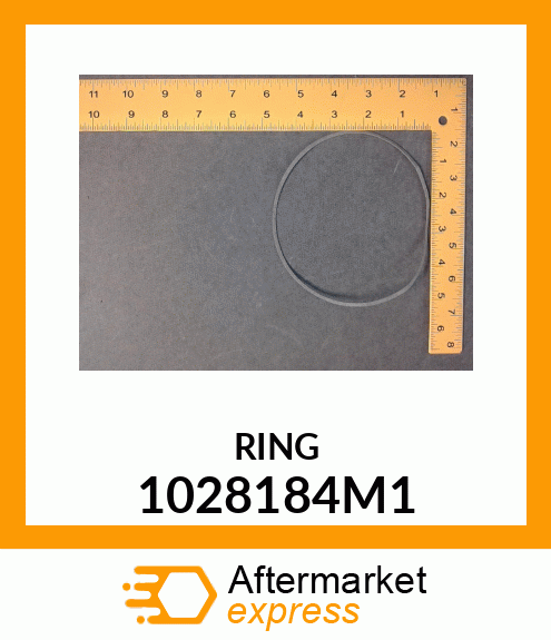 RING 1028184M1