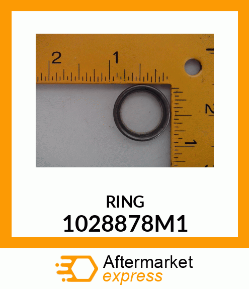 RING 1028878M1