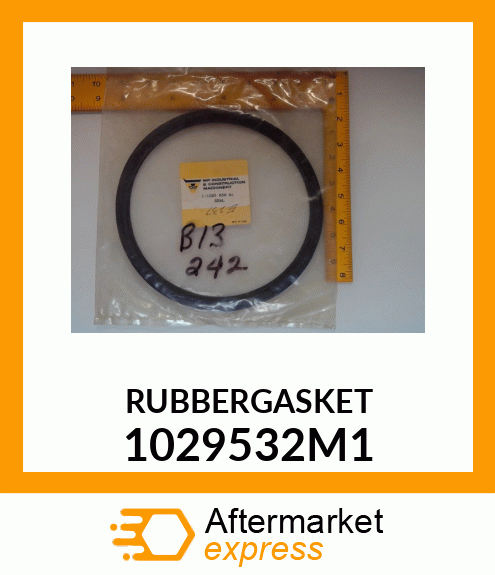 RUBBERGASKET 1029532M1