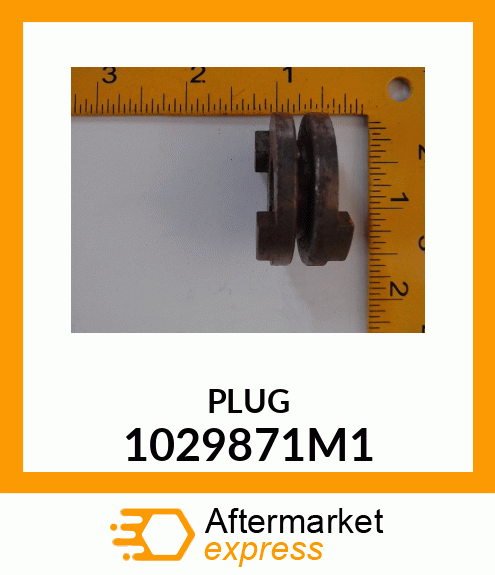 PLUG 1029871M1