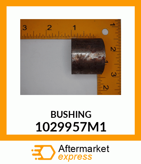 BUSHING 1029957M1