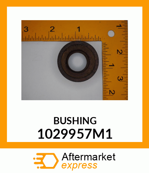 BUSHING 1029957M1