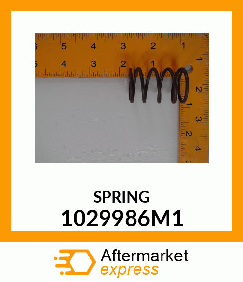 SPRING 1029986M1