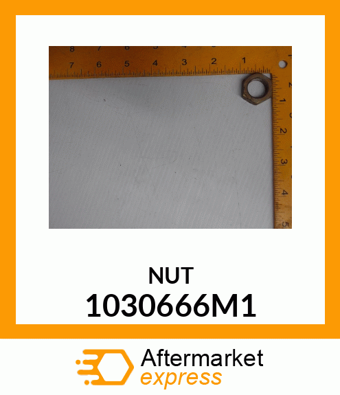 NUT 1030666M1