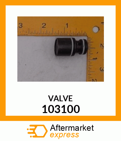 VALVE 103100