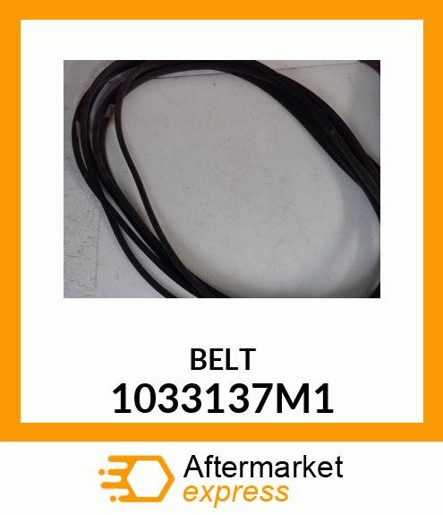 BELT 1033137M1