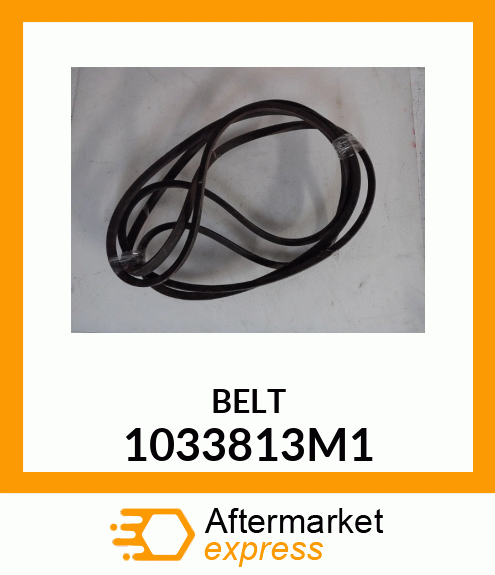 BELT 1033813M1