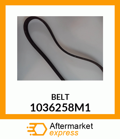 BELT 1036258M1