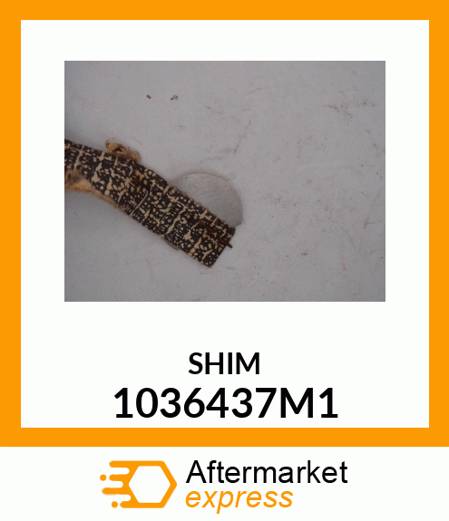 SHIM 1036437M1